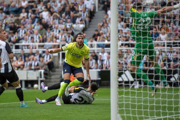 更是基于他 更是基于他