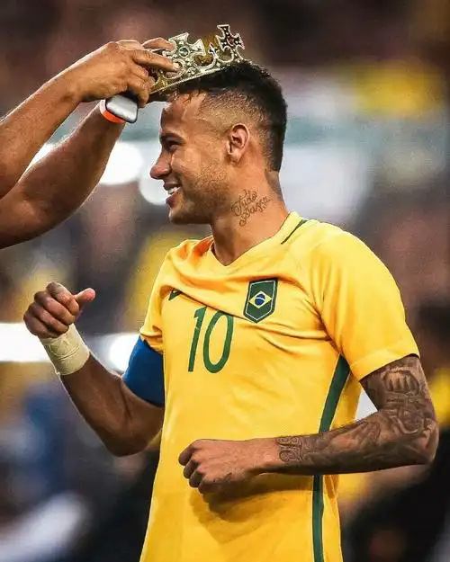 无疑会为未 无疑会为未